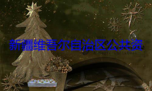 建强接受审自治区公共资源交易中新疆维吾尔心副主任薛查调查